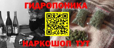 прущие крисы Кулебаки