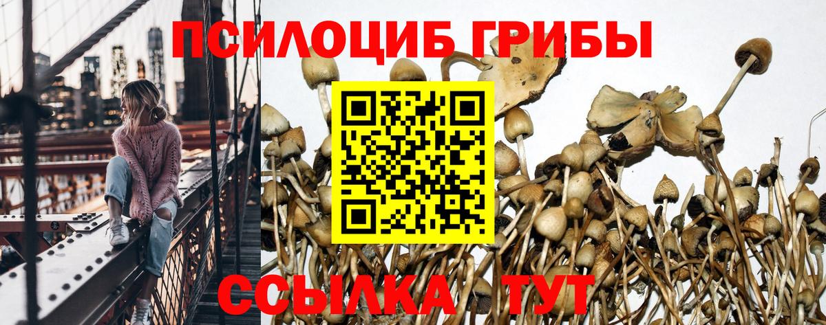 Псилоцибиновые грибы мухоморы  Вход с VPN  Киселёвск 